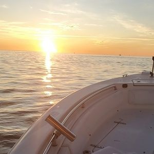 Meet your Posher, Nicholas